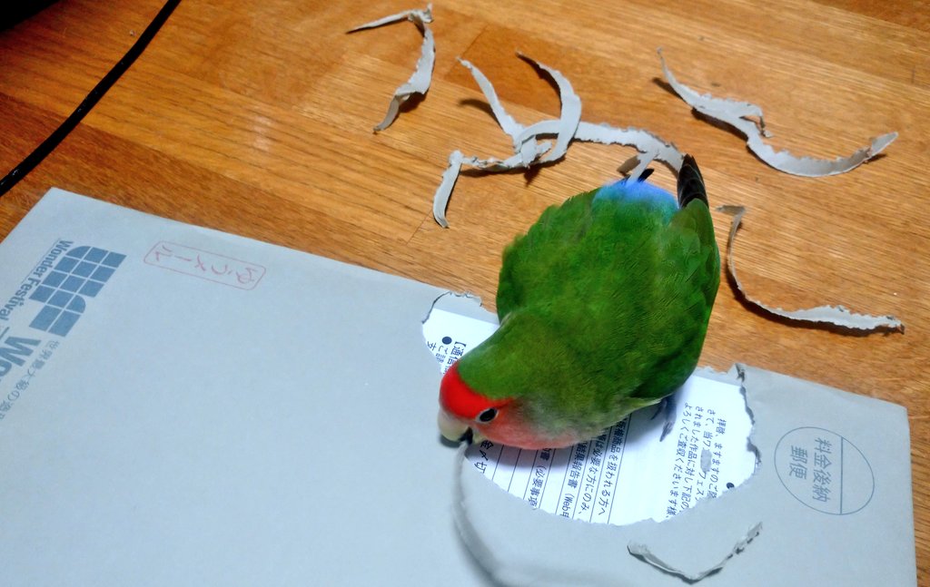 ぎゃー!!すみません自分で開封します  