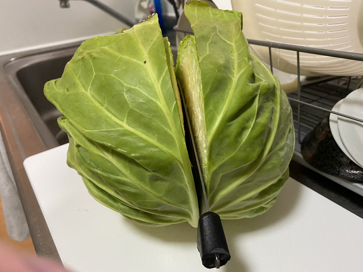 次男だからキャベツも切れなかった…