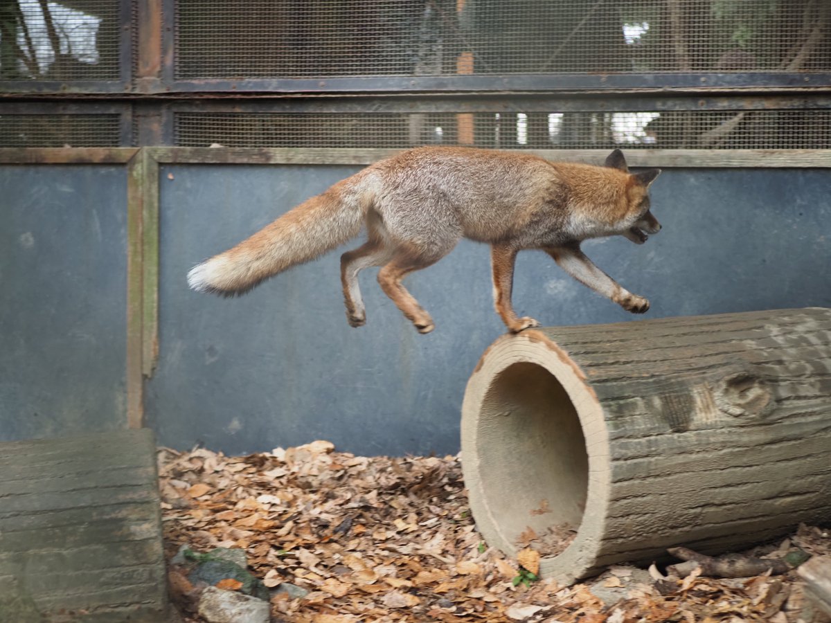 ３Dゲームにありがちな地面判定 