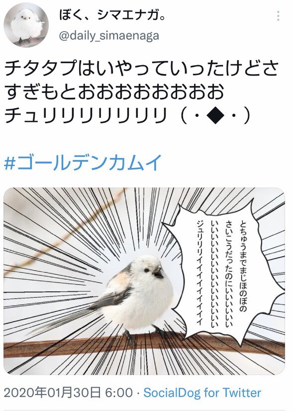 ゴールデンカムイのシマエナガはですね、シマエナガのアカウントの方の願いがあんな形で叶ってしまったという… 