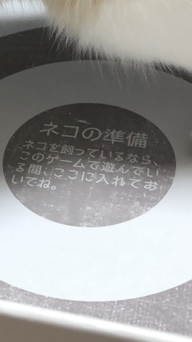 こういうボードゲームがあるのは流石に笑いました🤣笑笑笑 