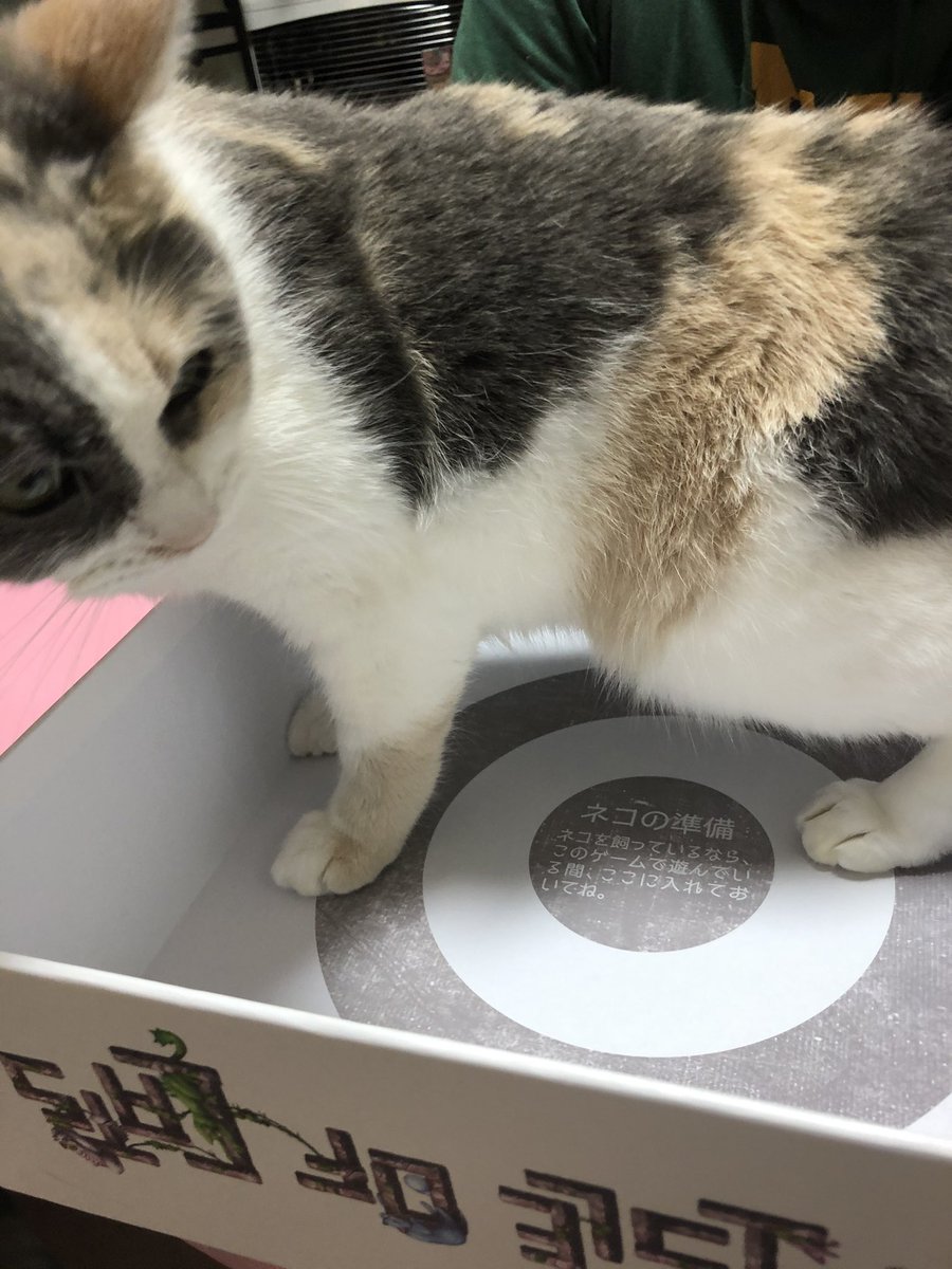 こういうボードゲームがあるのは流石に笑いました🤣笑笑笑 