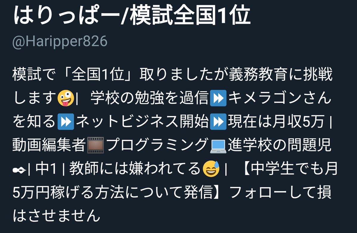 少し前までは中学生の子どもがアダルトサイトでフィッシング詐欺に引っかからないように気を付けとけば何とかなってた気がするのに現代の子育て難しすぎへんか