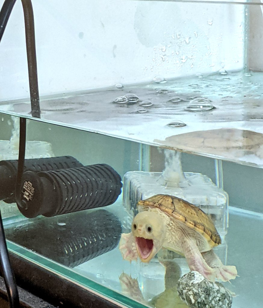 ふとカメラを向けたら 