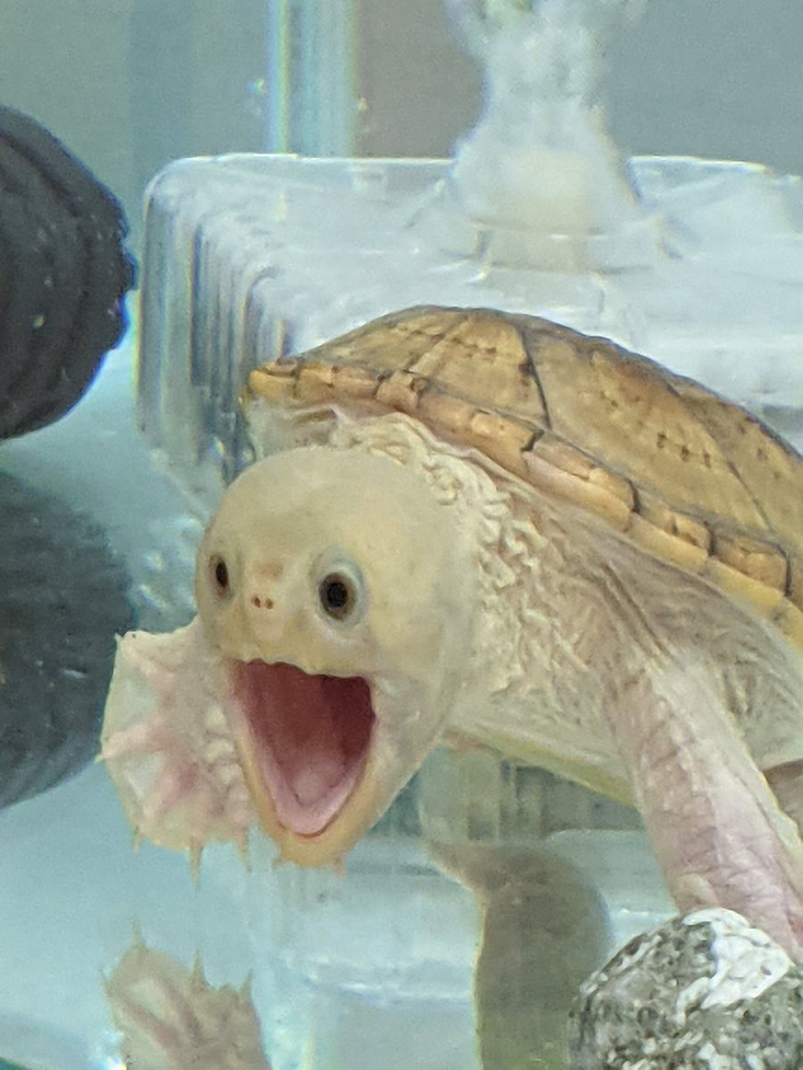 ふとカメラを向けたら 