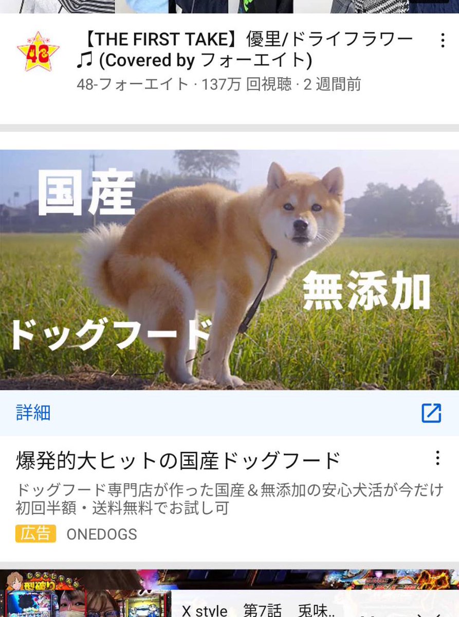 ドックフードの広告に使う写真じゃないでしょ 