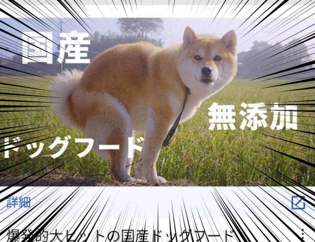 ドックフードの広告に使う写真じゃないでしょ 