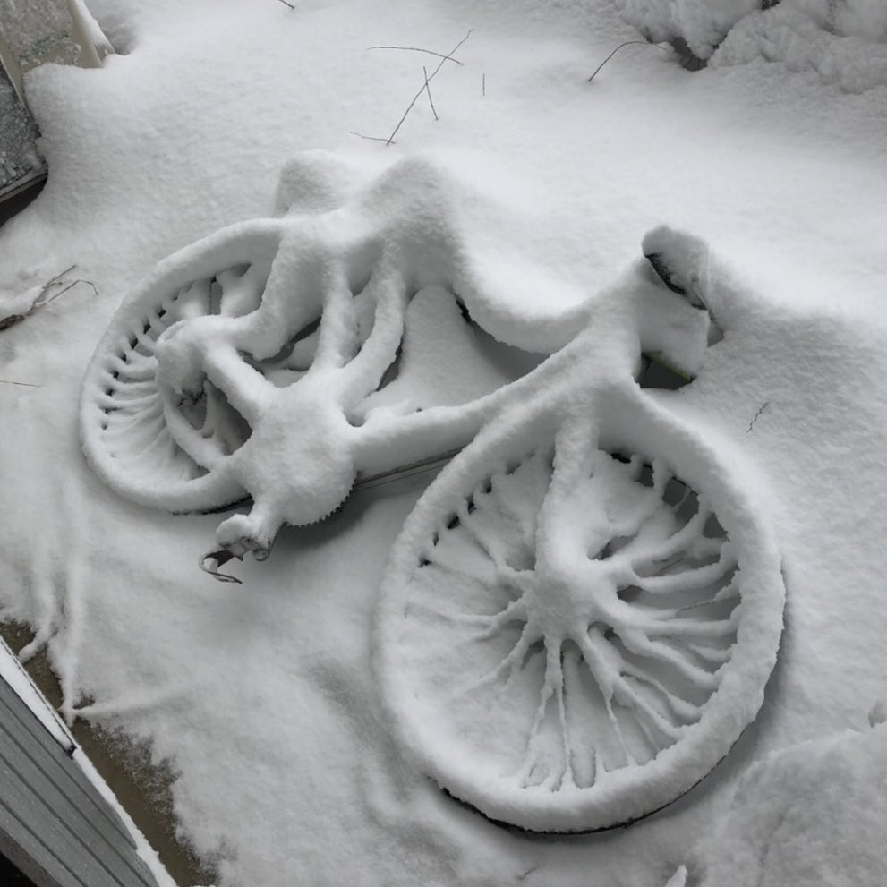 記録的降雪の富山…⛄️  雪降りすぎなのもヤバいけど、標識とかあり得ない積もり方しててちょっとカッコいい😂😂 芸術的すぎん