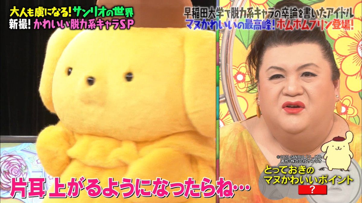 ポムポムプリンは両耳が上がります #マツコの知らない世界 