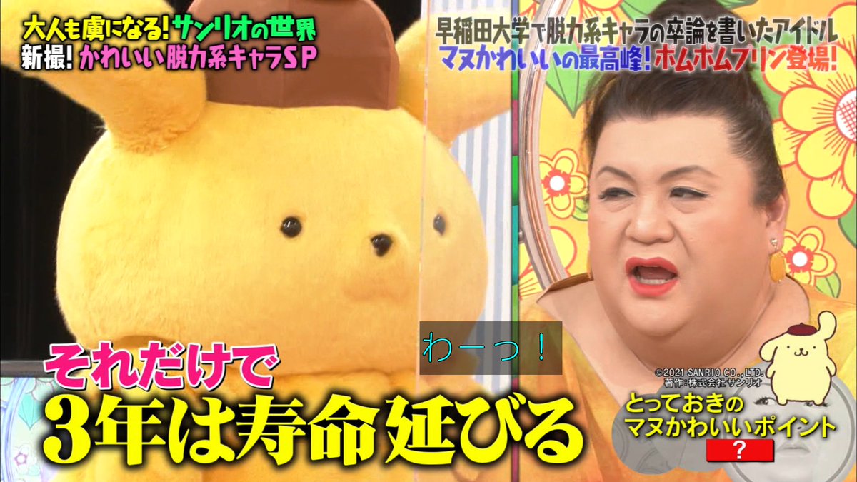 ポムポムプリンは両耳が上がります #マツコの知らない世界 