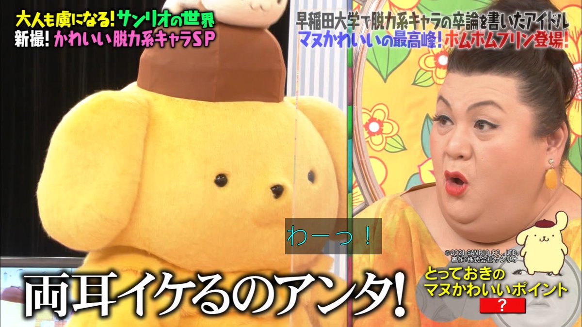 ポムポムプリンは両耳が上がります #マツコの知らない世界 