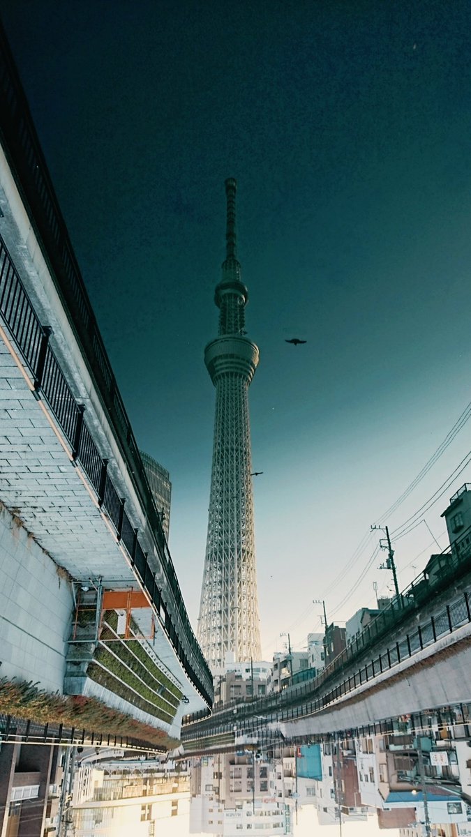 数年前に撮った写真だけどたまに見ると脳が混乱する🤯 