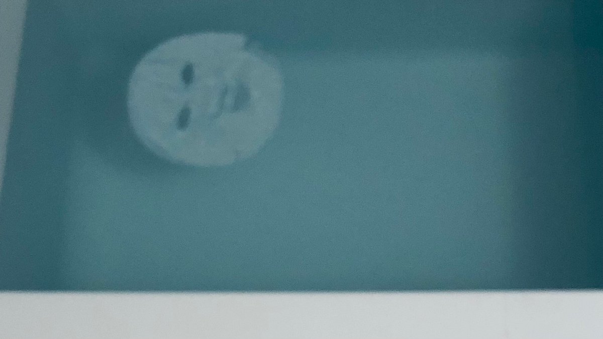 さっき風呂場で死ぬほどビビった 