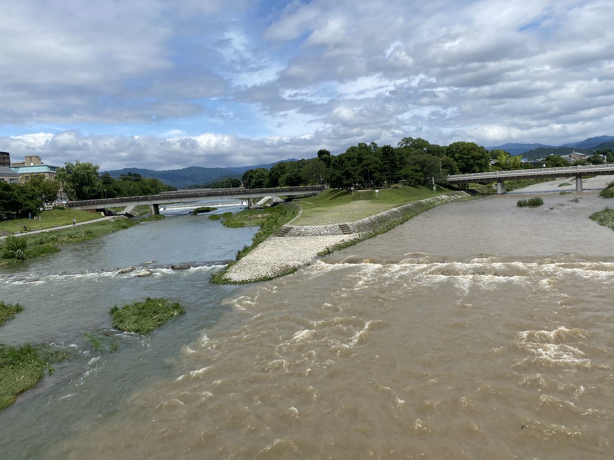 賀茂川側と高野川側で水流の色も量も全然違う… 