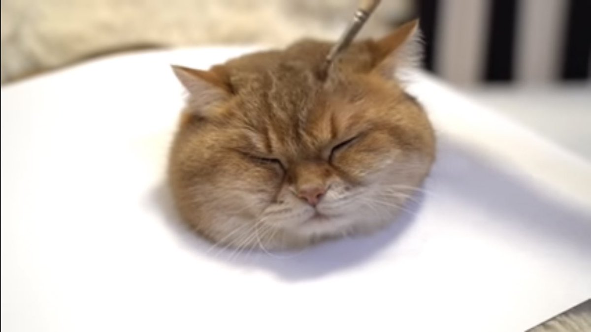 最近「猫の描き方講座」って動画見たんだけど凄い、まるで生きているかのようにリアル 