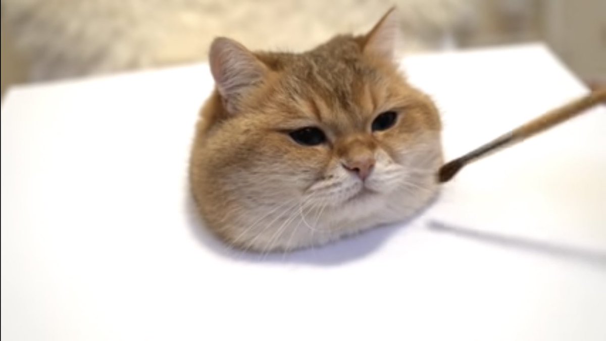 最近「猫の描き方講座」って動画見たんだけど凄い、まるで生きているかのようにリアル 
