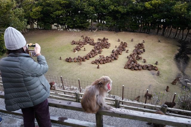 外道の遊び方やん 