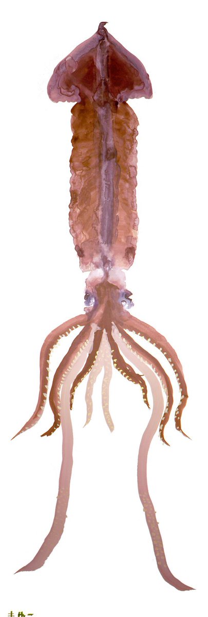 10歳ほどの女児が水彩のいっぱつ描きでこれを仕上げてきて「フゥン…その才能、欲しい