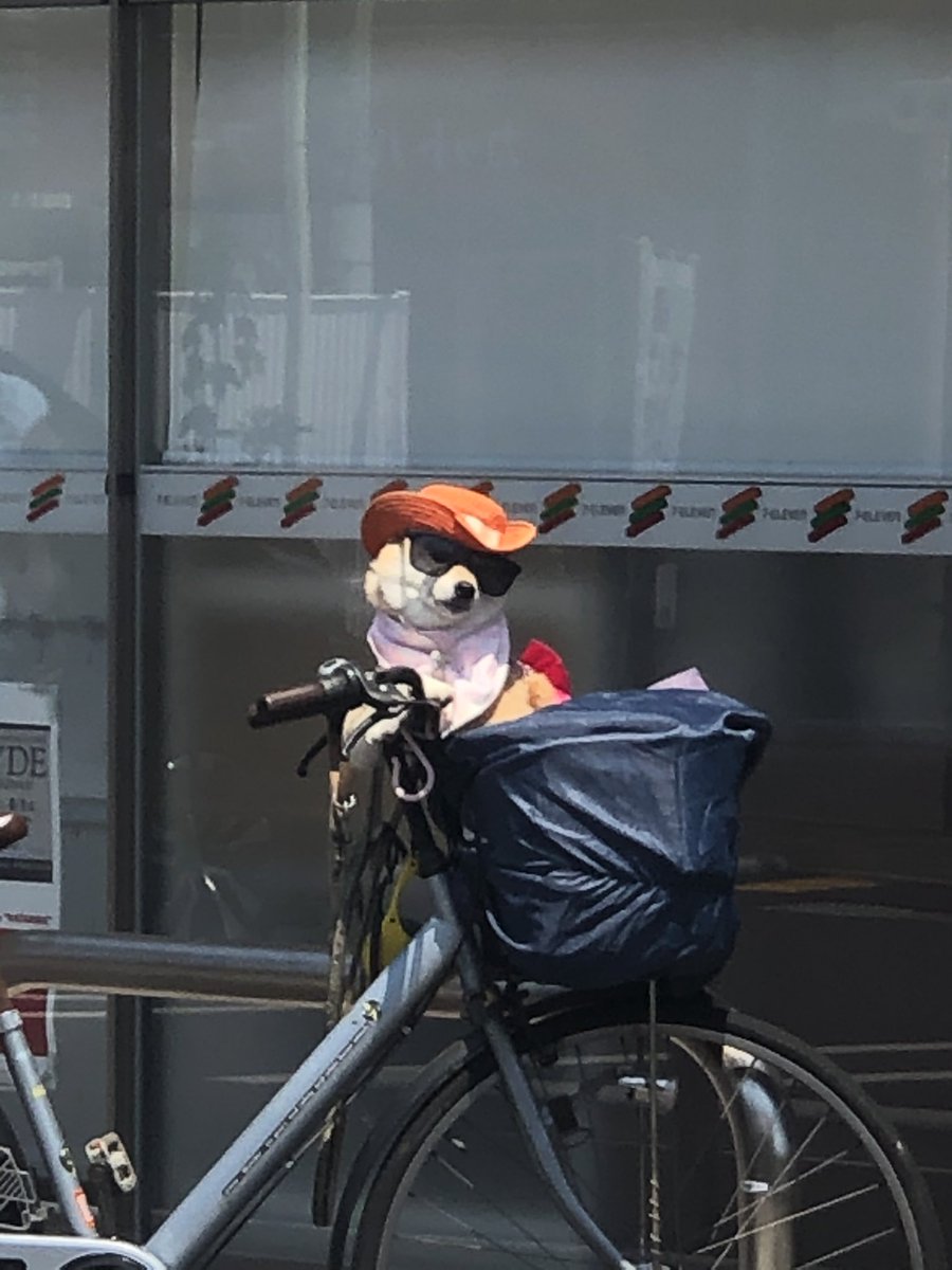 コンビニきたらキマってる犬いたwwwwwwwwwwwwwwwwwww 