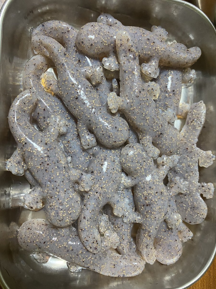 母「トレーのこんにゃく茹でてー」 僕「おっけーーーぇえええ！？」 