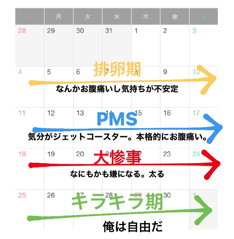 筋トレしてんの偉すぎ