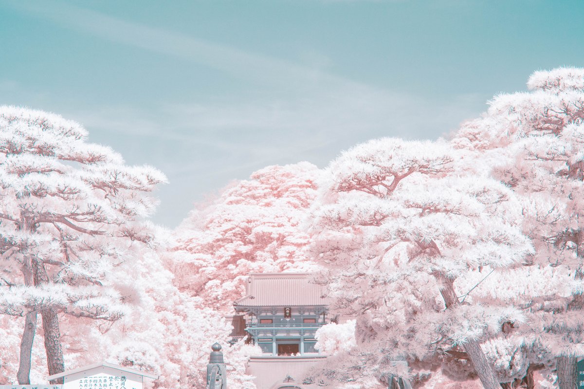 特殊なカメラで鎌倉を撮影したら、 幻想的で美しい写真になりました。 