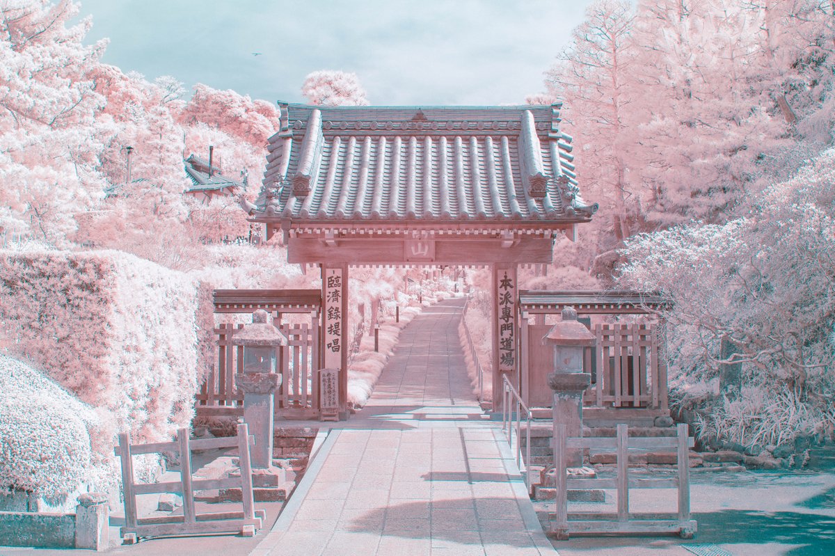 特殊なカメラで鎌倉を撮影したら、 幻想的で美しい写真になりました。 