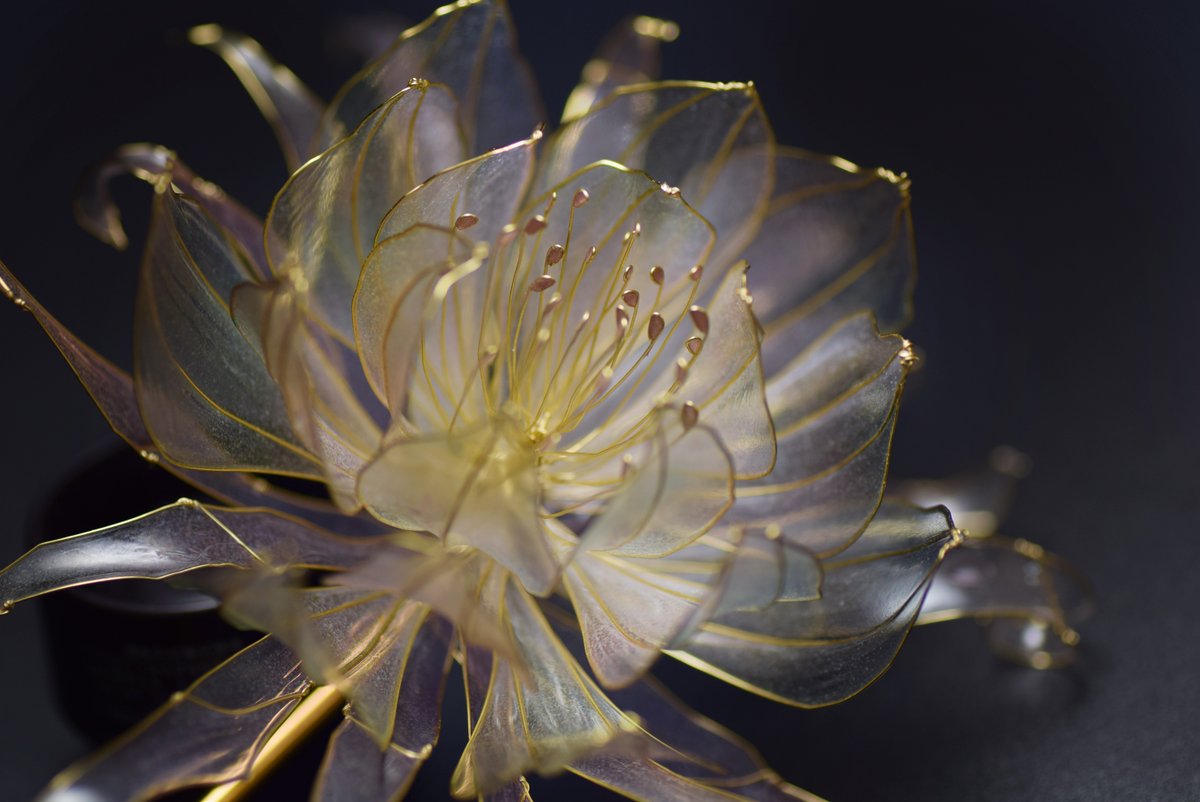 今回も綺麗に咲かせられてほっとした