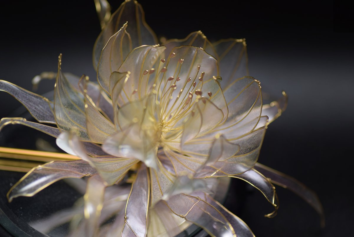 今回も綺麗に咲かせられてほっとした