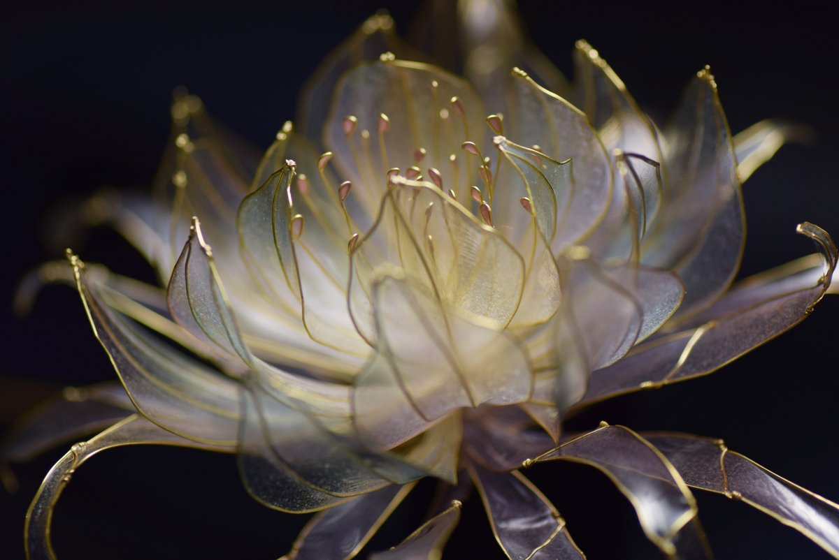 今回も綺麗に咲かせられてほっとした