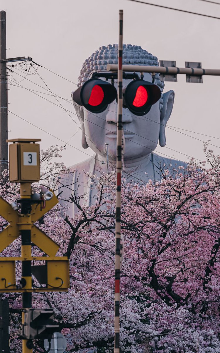 春のパリピ大仏 