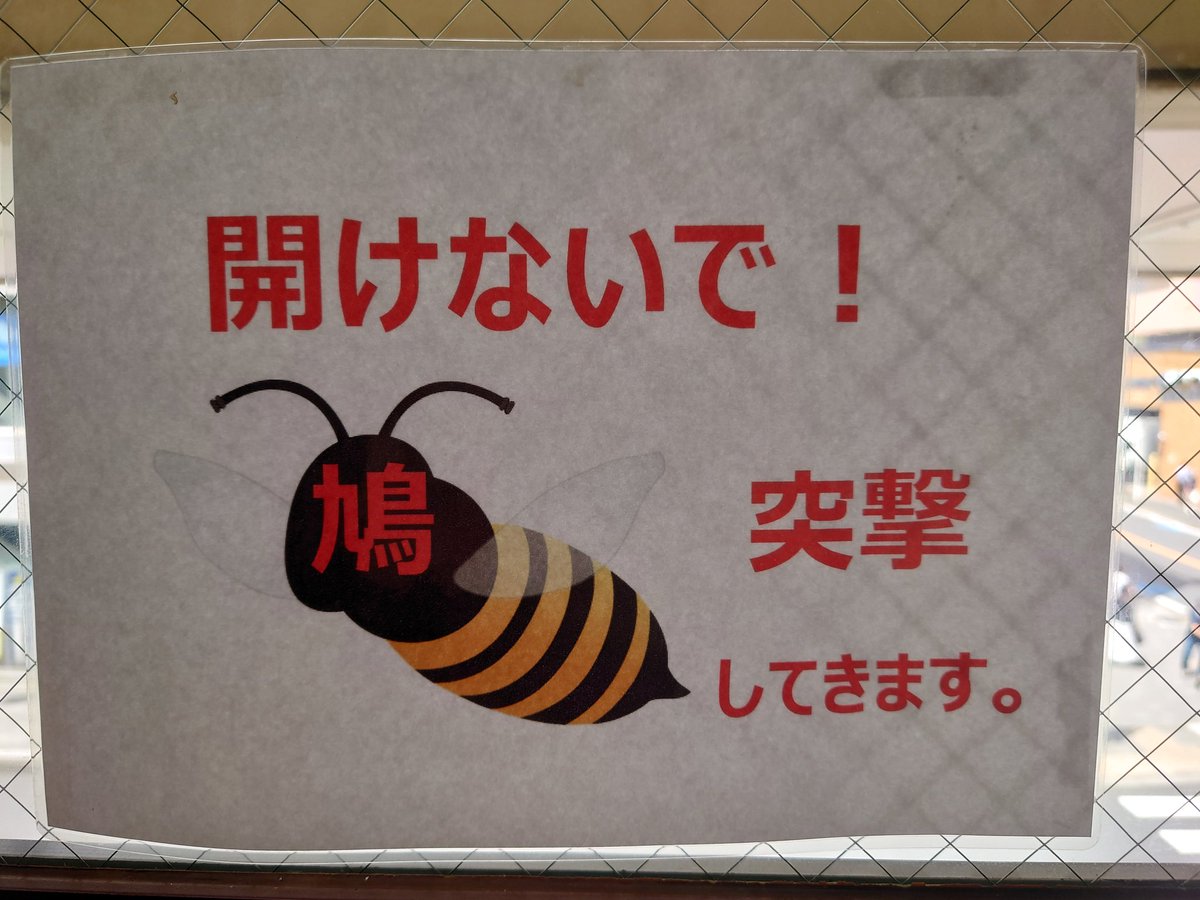 ハ……ト……？ 