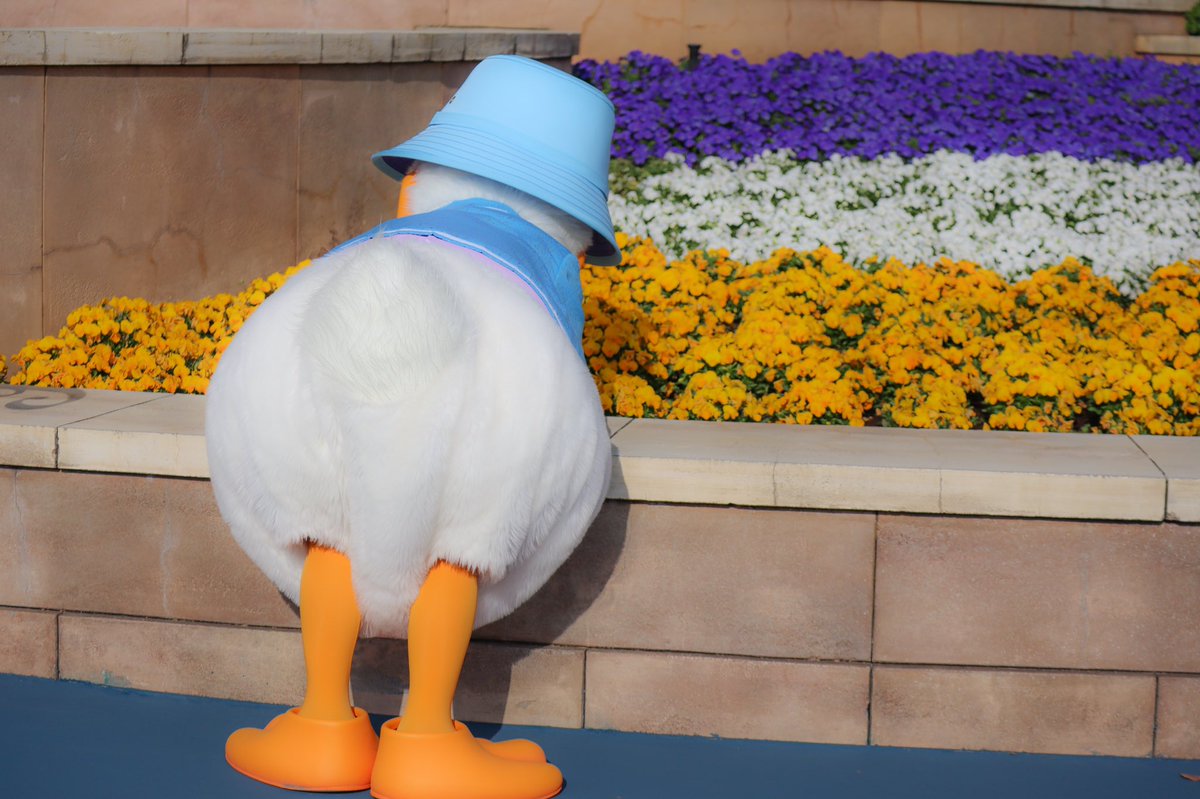 デイジーに渡すためにお花選びし出した瞬間、オタク死んじゃうかと思った 