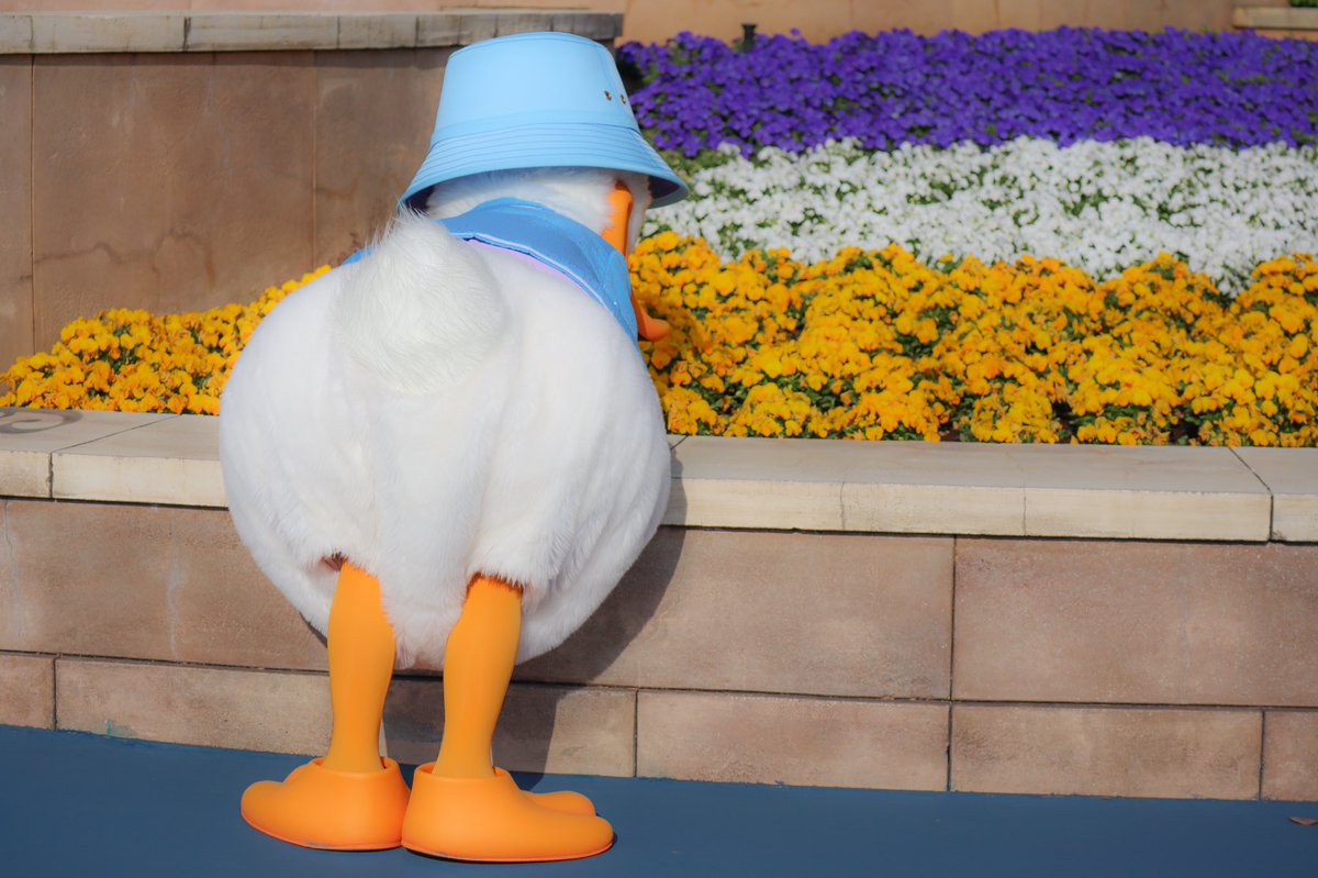 デイジーに渡すためにお花選びし出した瞬間、オタク死んじゃうかと思った 