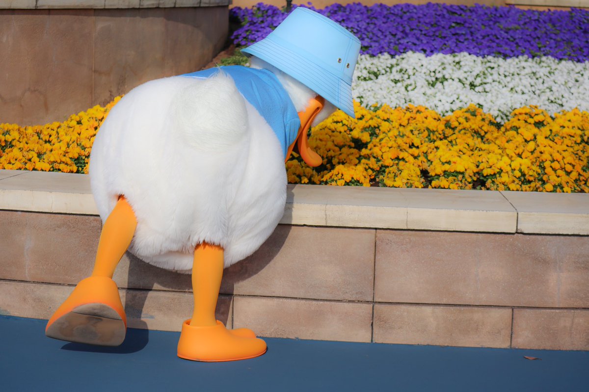 デイジーに渡すためにお花選びし出した瞬間、オタク死んじゃうかと思った 