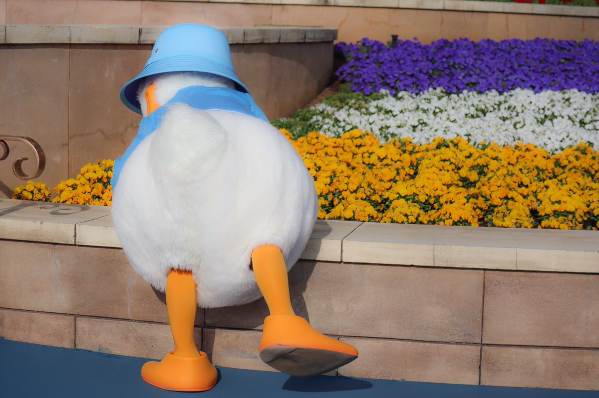 デイジーに渡すためにお花選びし出した瞬間、オタク死んじゃうかと思った 