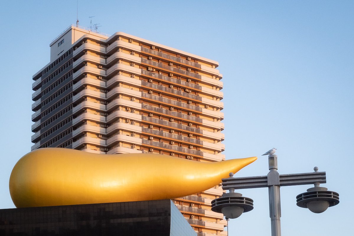 金色のフンをしてる鳥を見つけた。 