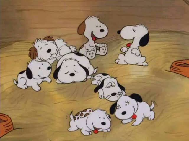 お気持ちがおしまいになってしまった時は生まれたてのスヌーピーたちを見ようね…