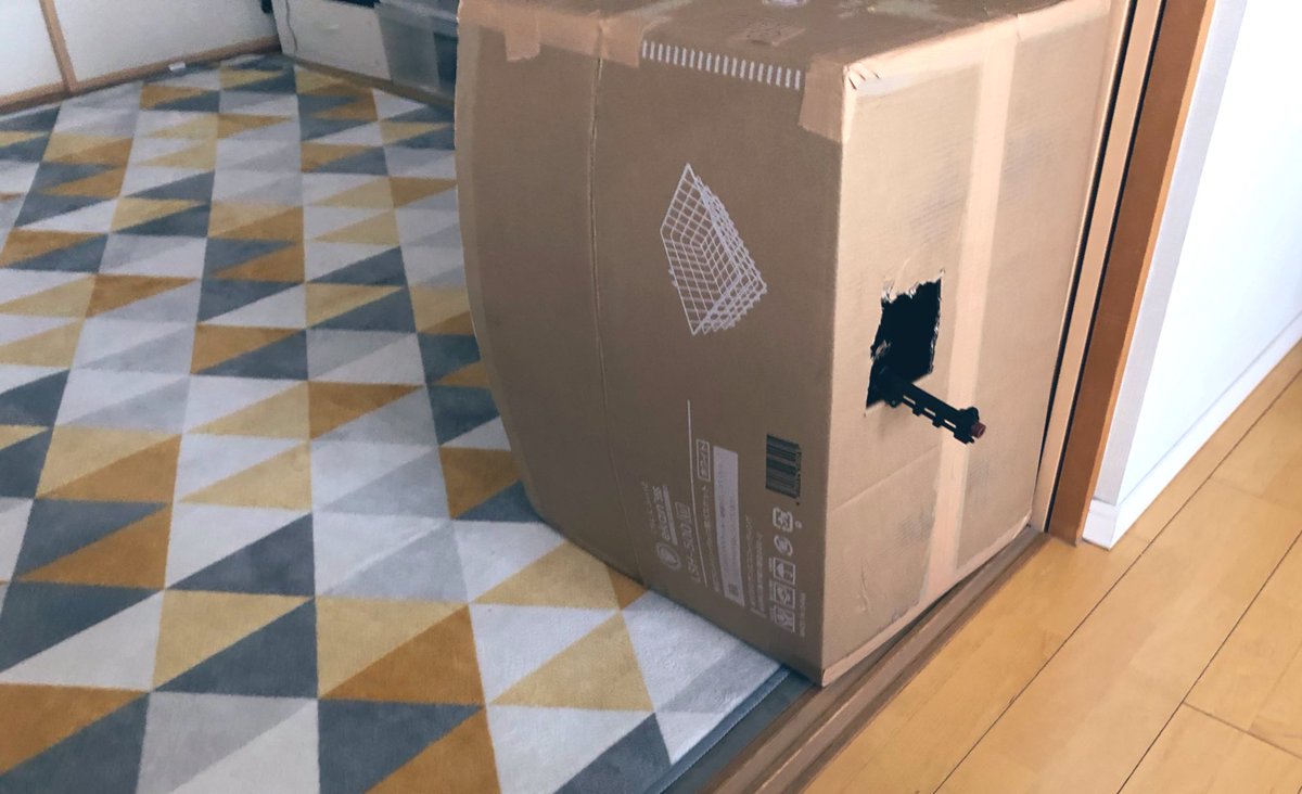 金曜日にコナン見てから、小1息子がずっとこうなってる 