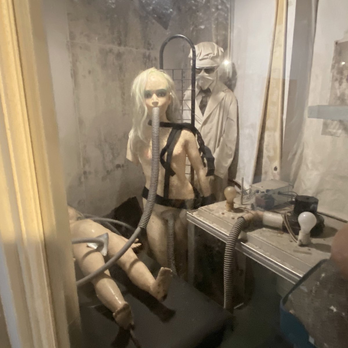 入場５分で精神崩壊すると言われてるとこ来た 