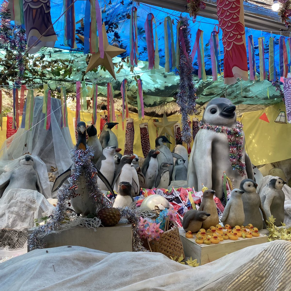 入場５分で精神崩壊すると言われてるとこ来た 