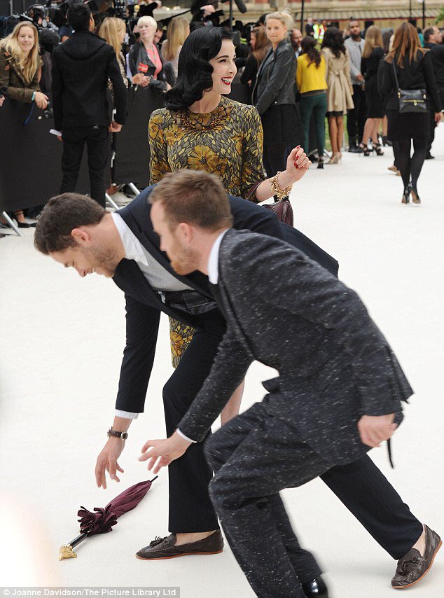 この写真見て癒されるか... 