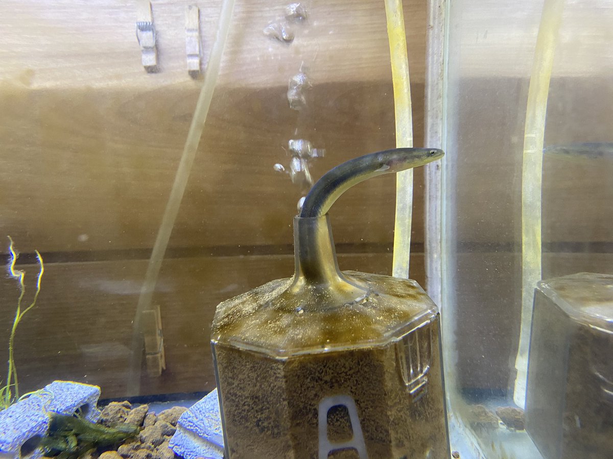 あの、そこ...そういうところじゃないんですけど... 