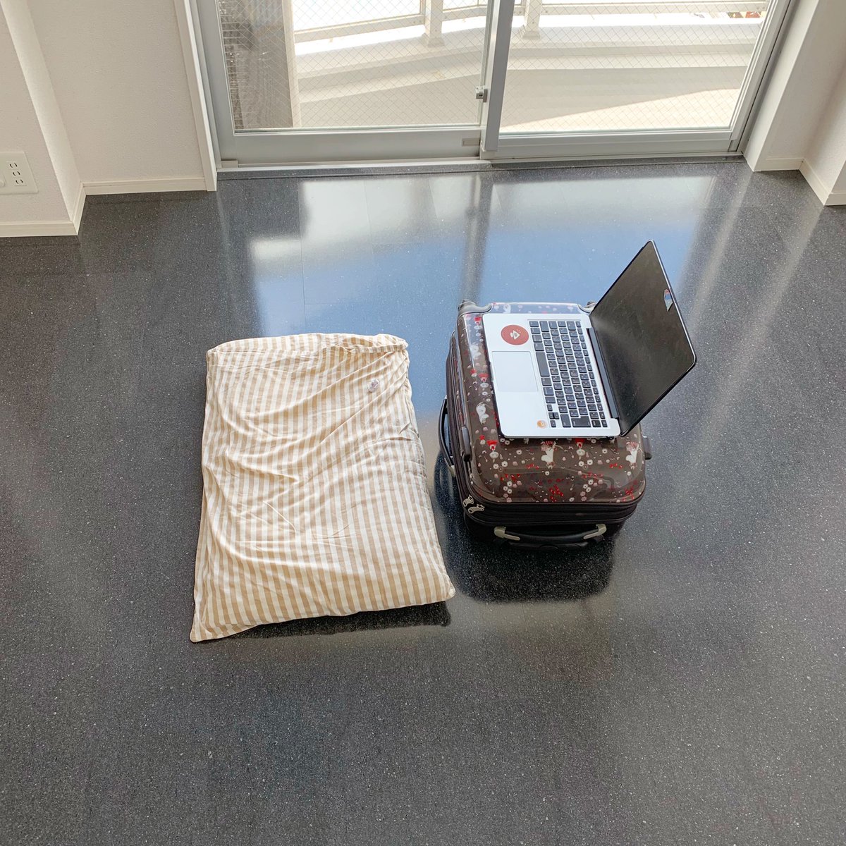 今日引っ越したのですが家具を一切持たず入居したせいでどうぶつの森の初期装備みたいな空間になった 