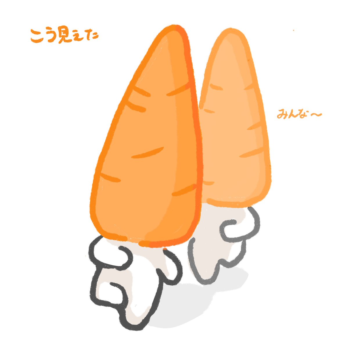 にんじんの袋のキャラクターすごい独特じゃんと思ったら上下逆だったね 