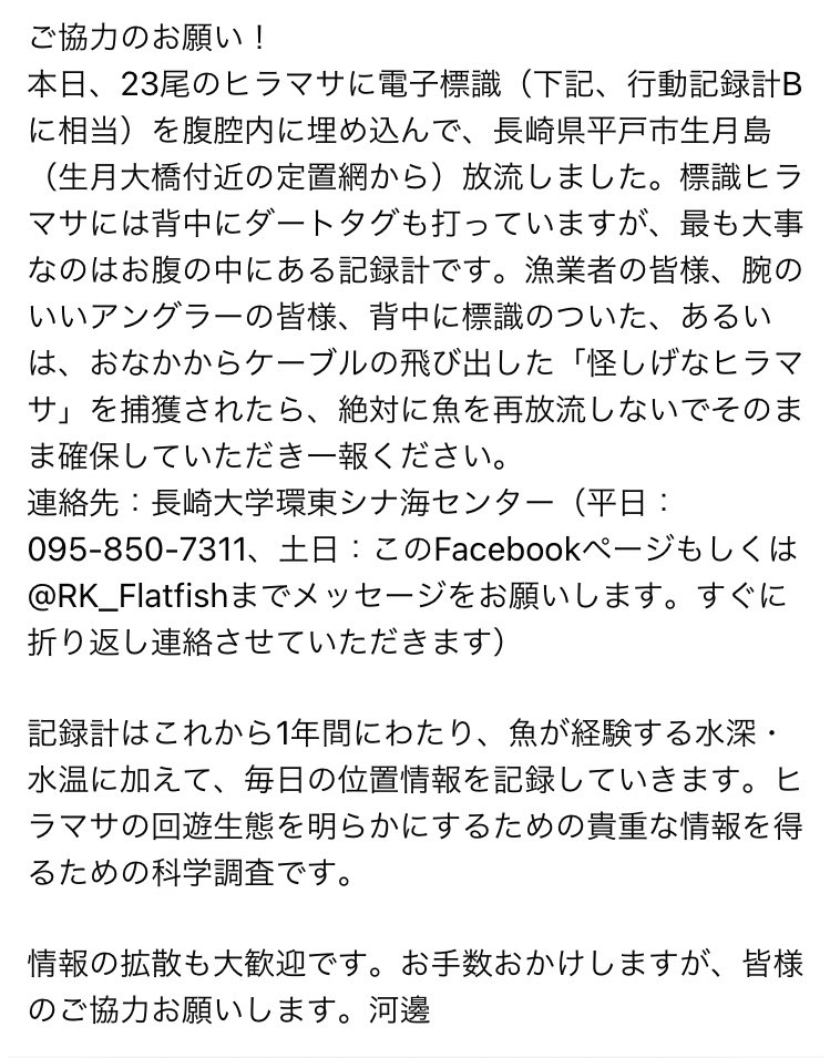 昨日、長崎県平戸市生月島より、タグ付きのヒラマサが放流されたとのことです