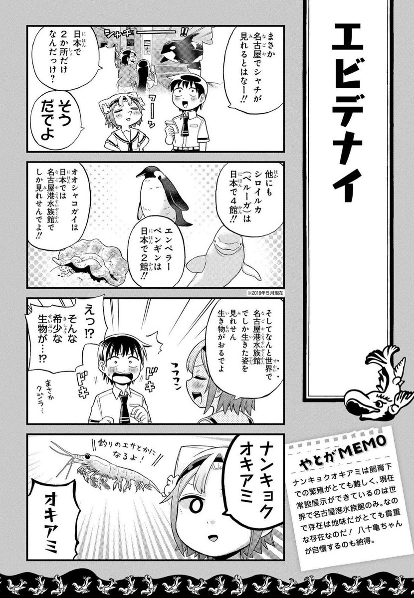 地元民は凄さをあまり理解していない「名古屋港水族館」とかいう化け物水族館 