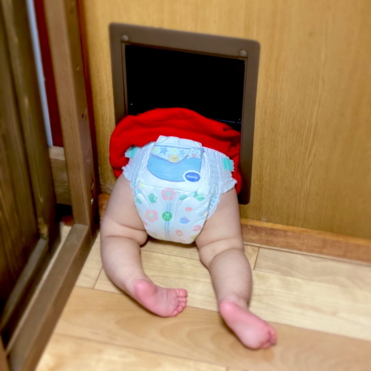 リビングから玄関に出る扉に、猫のためのペットドアを設置しているのですが、次男がそこから外に出ていってしまいます…… 