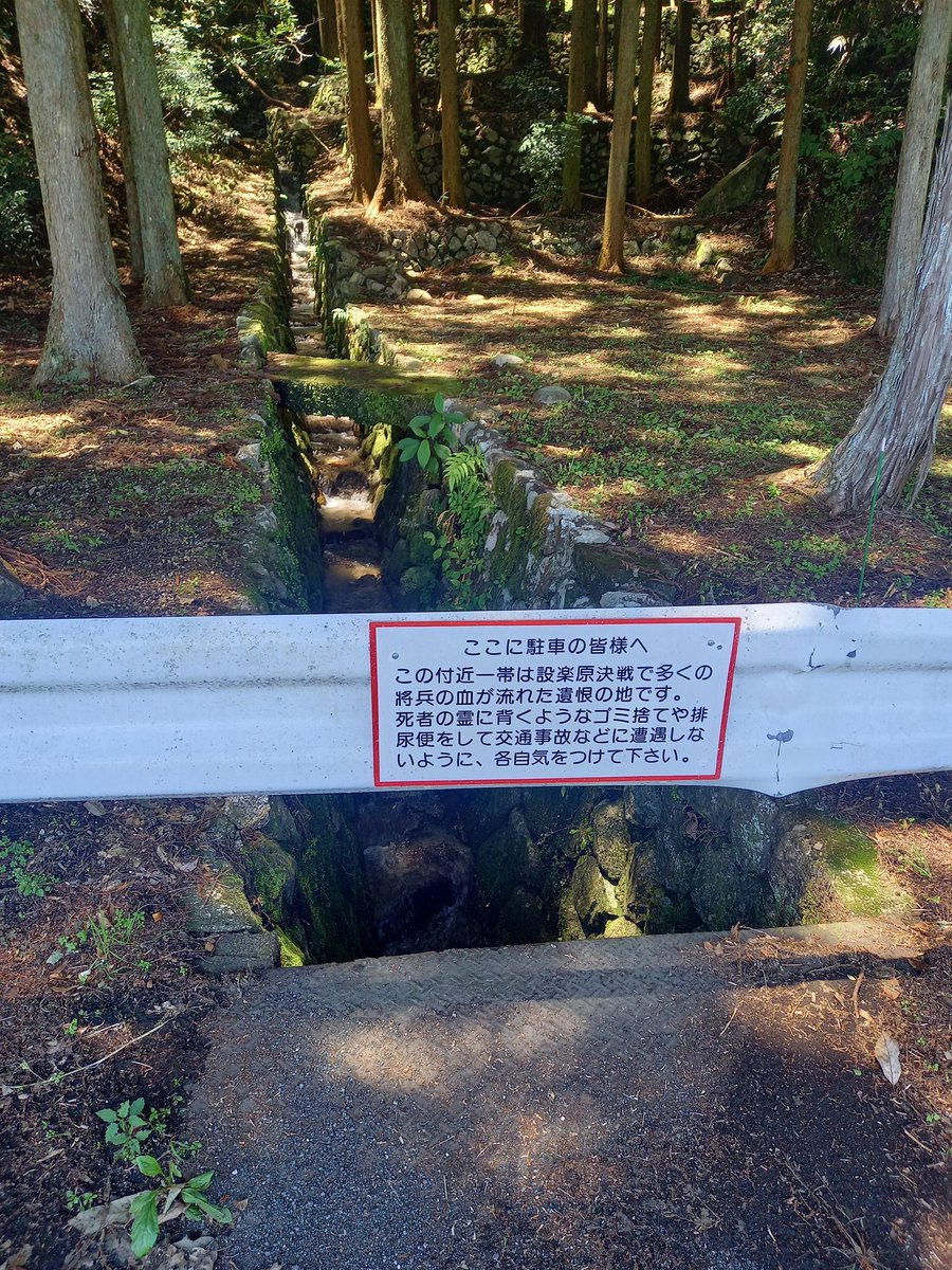 この看板、かなり効果あるだろうなあ。 