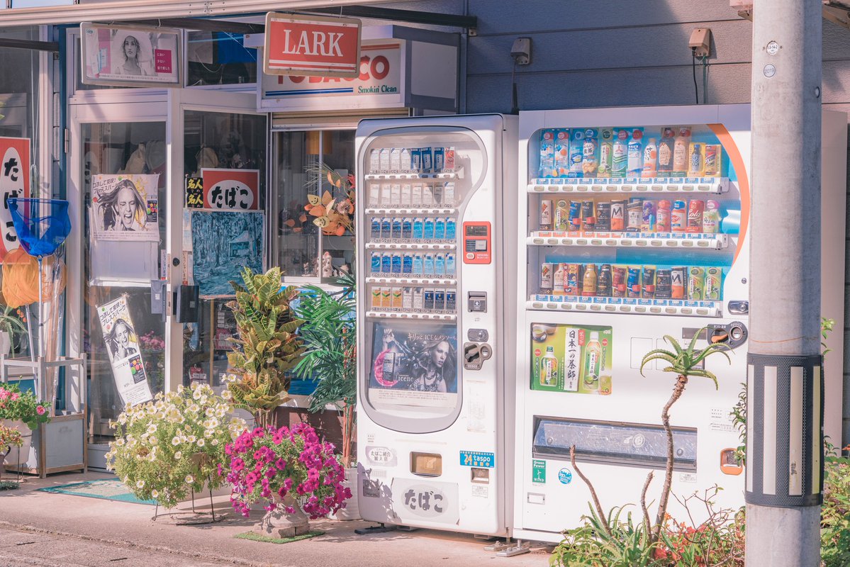 アニメのワンシーンのように。 